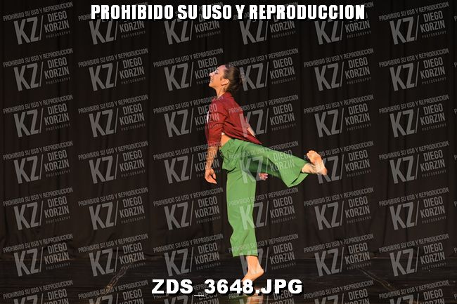 COMPETENCIA D4 COREO 288