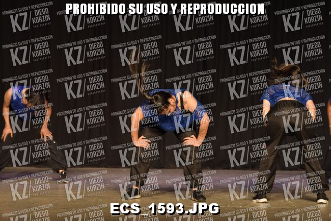 COREO 151