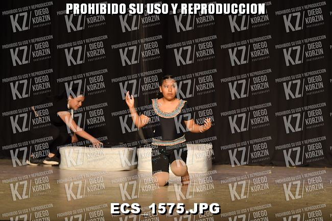 COREO 262
