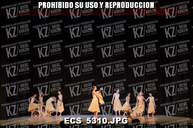 COREO 239