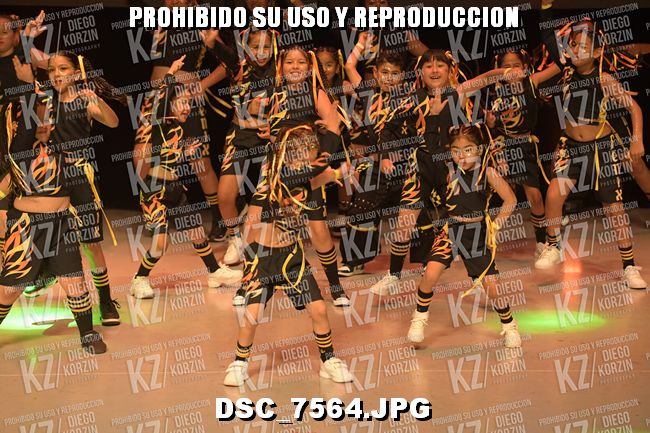 COREO 17
