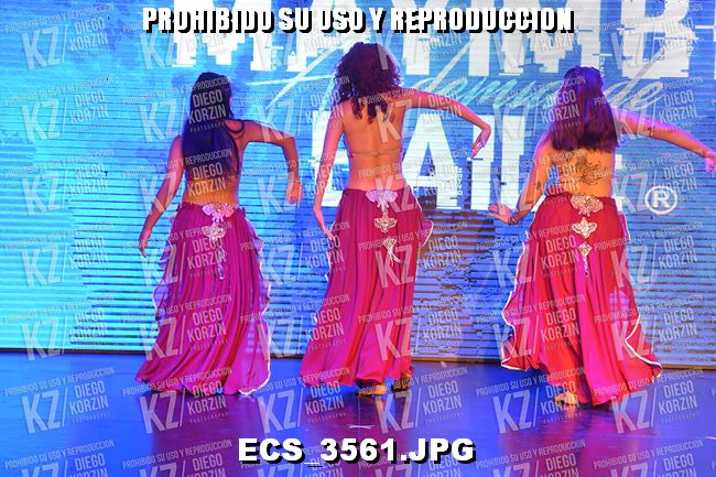 P2 COREO 24