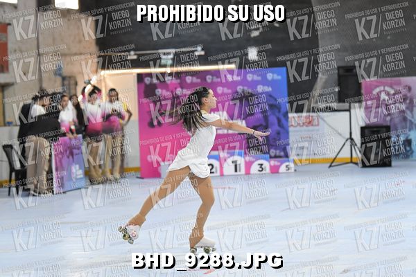 CAT 2 PATINADOR 2