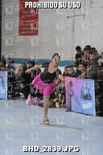 CAT 6 PATINADOR 3