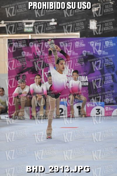 CAT 6 PATINADOR 4