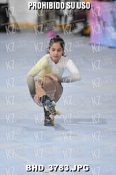 CAT 7 PATINADOR 5