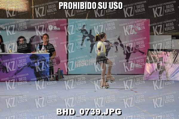CAT 12 PATINADOR 12