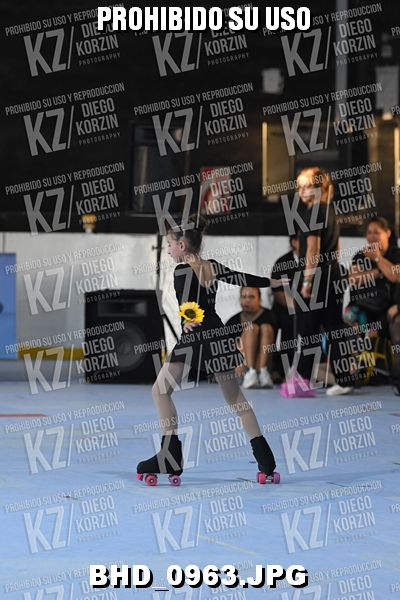 CAT 12 PATINADOR 15