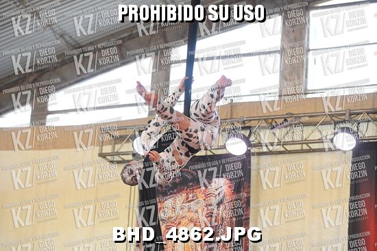 COREO 81