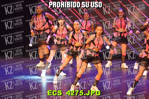 COREO 19 BIS