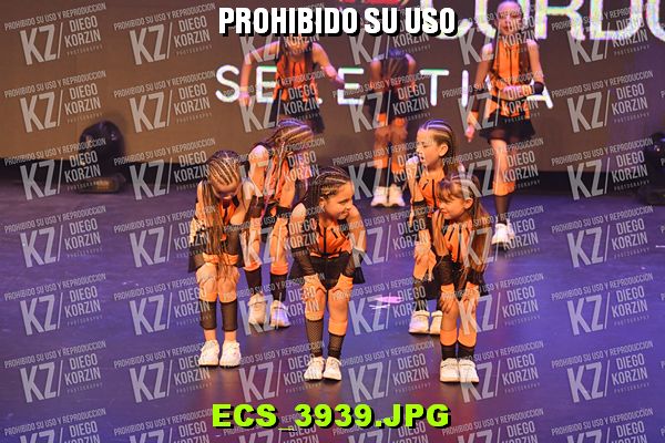 COREO 122 BIS