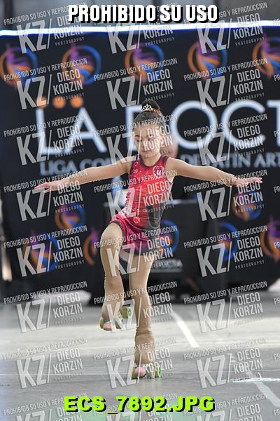 Hs 10.48 CAT 6 PATINADOR 6