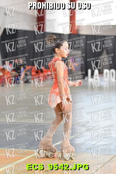 Hs 11.36 CAT 9 PATINADOR 6