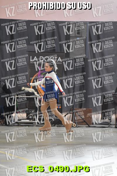 Hs 14.01 CAT 13 PATINADOR 1