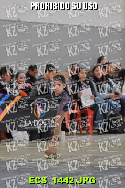 Hs 15.04 CAT 14 PATINADOR 5