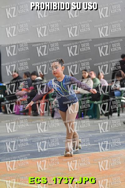 Hs 15.14 CAT 15 PATINADOR 1