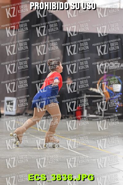 Hs 16.32 CAT 19 PATINADOR 4