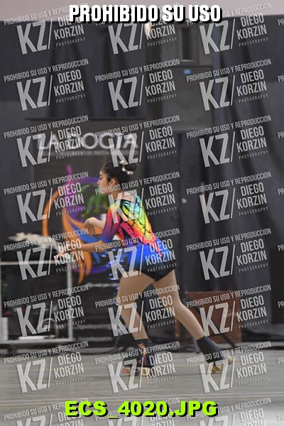 Hs 16.40 CAT 20 PATINADOR 2