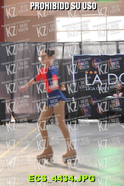 Hs 16.52 CAT 20 PATINADOR 6