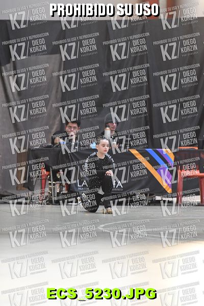 Hs 17.19 CAT 22 PATINADOR 1