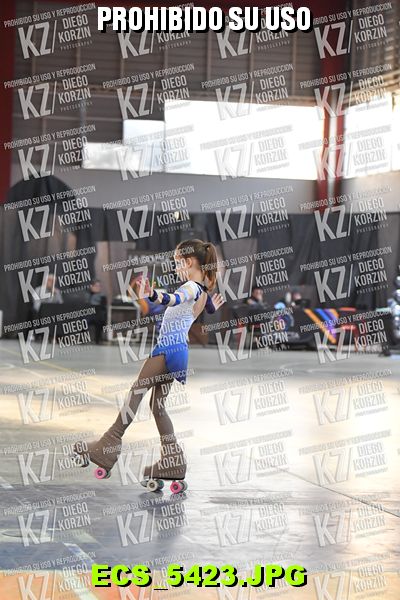 Hs 17.31 CAT 22 PATINADOR 6