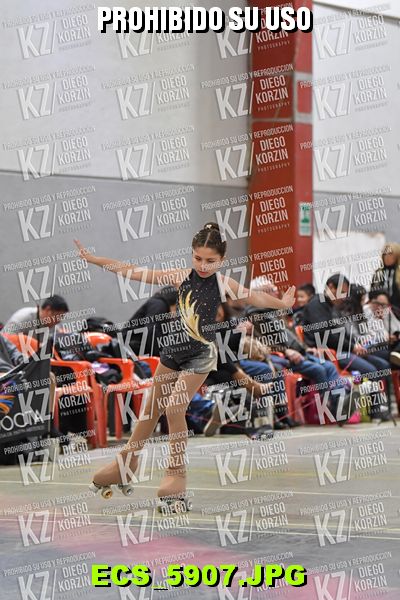 Hs 17.55 CAT 23 PATINADOR 4