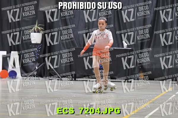 Hs 18.41 CAT 26 PATINADOR 1