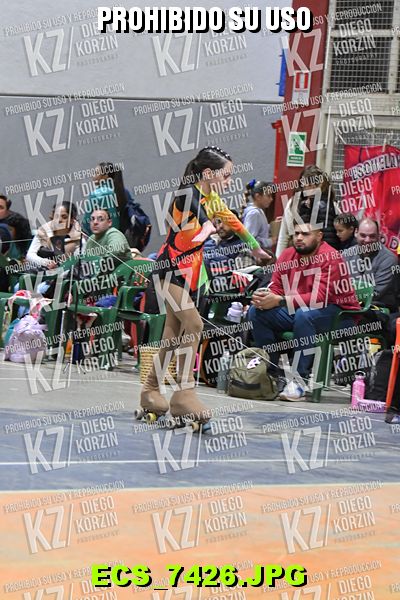 Hs 18.55 CAT 26 PATINADOR 6