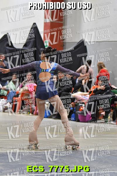 Hs 19.16 CAT 27 PATINADOR 5