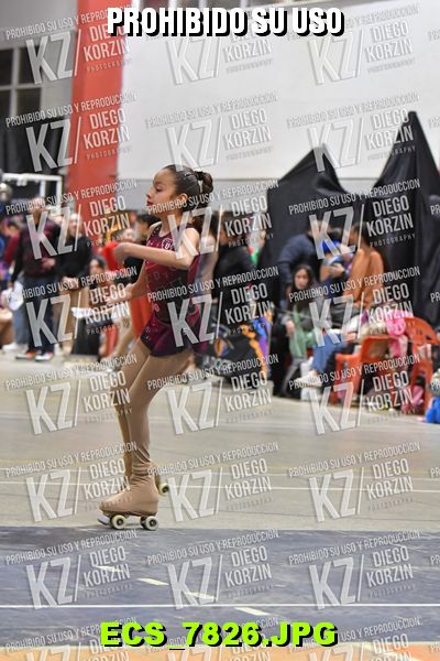 Hs 19.18 CAT 27 PATINADOR 6