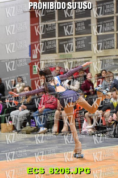 Hs 19.34 CAT 28 PATINADOR 1