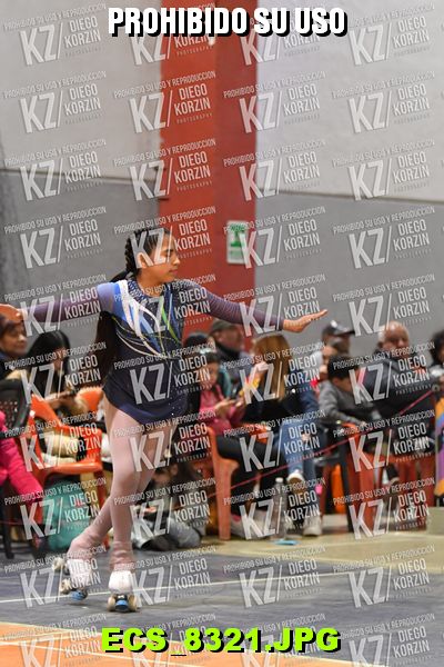 Hs 19.36 CAT 28 PATINADOR 2