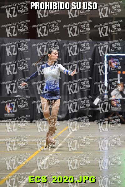 Hs 22.45 CAT 33 PATINADOR 6