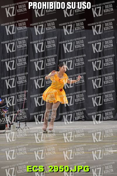 Hs 23.26 CAT 36 PATINADOR 2